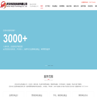 武汉网站定制/网站建设/制作_武汉迈佳科技网站开发公司