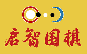 武汉启智围棋学校