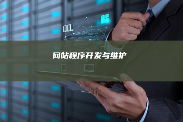 网站程序开发与维护