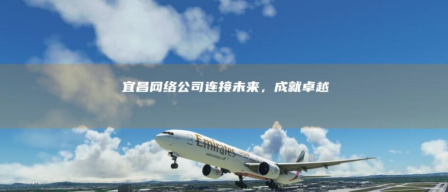 宜昌网络公司 - 连接未来，成就卓越