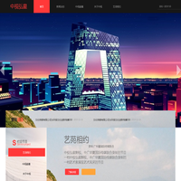 北京中视弘星国际文化传媒有限公司