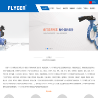 英国FLYGER弗莱戈阀门