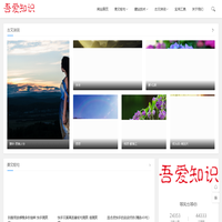 等风也等你